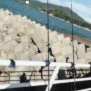 ヒメ日記 2025/04/24 14:46 投稿 いぶき Picasso(ピカソ)