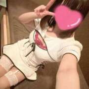 ヒメ日記 2025/07/10 12:26 投稿 いぶき Picasso(ピカソ)