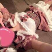 ヒメ日記 2025/07/19 11:26 投稿 いぶき Picasso(ピカソ)