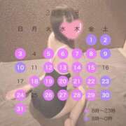 ヒメ日記 2025/08/02 14:07 投稿 いぶき Picasso(ピカソ)