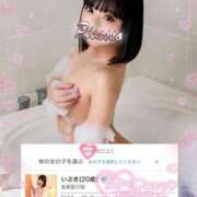 ヒメ日記 2025/08/21 17:16 投稿 いぶき Picasso(ピカソ)