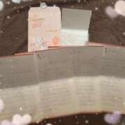 ヒメ日記 2025/08/24 11:16 投稿 いぶき Picasso(ピカソ)