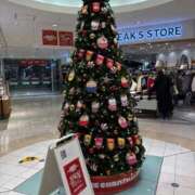 ヒメ日記 2025/12/24 08:35 投稿 かなえ 大宮人妻デリヘル～大人の事情～