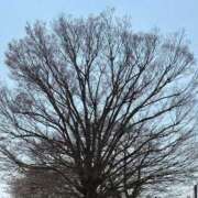 ヒメ日記 2026/03/25 19:45 投稿 かなえ 大宮人妻デリヘル～大人の事情～