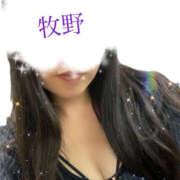 ヒメ日記 2024/12/17 11:58 投稿 牧野ゆりな ミセスハンズ