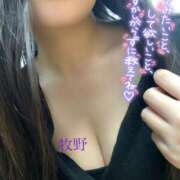 ヒメ日記 2024/12/29 13:12 投稿 牧野ゆりな ミセスハンズ