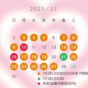 ヒメ日記 2025/11/05 18:02 投稿 清水　ふゆ 響-HIBIKI-