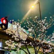 ヒメ日記 2025/04/03 12:59 投稿 あこ 奥様さくら日本橋店