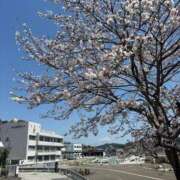 ヒメ日記 2025/04/07 22:33 投稿 あおぞら シンデレラ【平均年齢20才、風俗未経験の娘が8割以上】