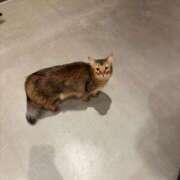 ヒメ日記 2025/09/13 19:12 投稿 あおぞら シンデレラ【平均年齢20才、風俗未経験の娘が8割以上】