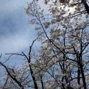 ヒメ日記 2026/04/17 19:18 投稿 あおぞら シンデレラ【平均年齢20才、風俗未経験の娘が8割以上】