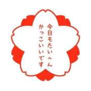 ヒメ日記 2025/01/24 10:23 投稿 つむぎ 妻天 京橋店