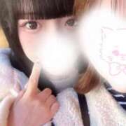 ヒメ日記 2025/04/03 17:49 投稿 にあ ていくぷらいど.学園