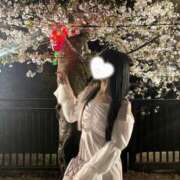 ヒメ日記 2025/04/10 07:15 投稿 にあ ていくぷらいど.学園