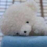 ヒメ日記 2025/04/22 15:32 投稿 にあ ていくぷらいど.学園