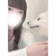 ヒメ日記 2025/04/30 13:27 投稿 にあ ていくぷらいど.学園