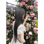 ヒメ日記 2025/05/15 19:26 投稿 にあ ていくぷらいど.学園