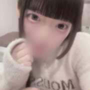 ヒメ日記 2026/02/12 00:15 投稿 にあ ていくぷらいど.学園