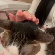 ヒメ日記 2026/03/18 09:55 投稿 にあ ていくぷらいど.学園