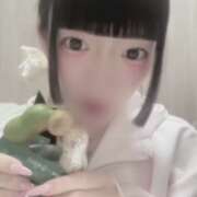 ヒメ日記 2026/03/30 20:50 投稿 にあ ていくぷらいど.学園