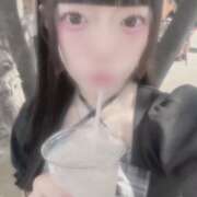 ヒメ日記 2026/06/14 16:00 投稿 にあ ていくぷらいど.学園
