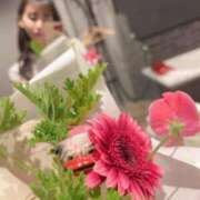 ヒメ日記 2025/01/04 15:22 投稿 坂井ゆあ 響-HIBIKI-