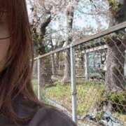 ヒメ日記 2025/04/07 11:40 投稿 岩倉（いわくら） 熟女の風俗最終章 名古屋店