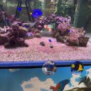 ヒメ日記 2025/08/25 13:22 投稿 岩倉（いわくら） 熟女の風俗最終章 名古屋店