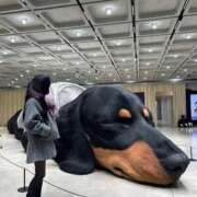 ヒメ日記 2026/02/04 12:21 投稿 まひる MIKADO