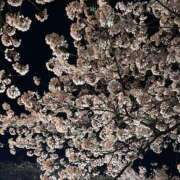 ヒメ日記 2025/04/08 09:43 投稿 るい しゃんぜりぜ