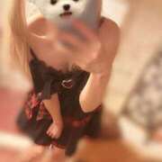 ヒメ日記 2025/10/21 20:57 投稿 るい しゃんぜりぜ