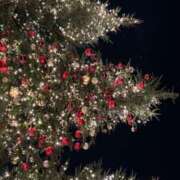 ヒメ日記 2025/12/16 17:24 投稿 るい しゃんぜりぜ