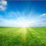 ヒメ日記 2025/01/23 07:23 投稿 神田 京香【人妻】 ROYAL STAR