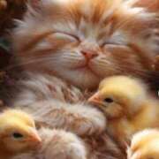 ヒメ日記 2025/01/27 23:17 投稿 神田 京香【人妻】 ROYAL STAR