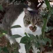 ヒメ日記 2025/01/28 07:39 投稿 神田 京香【人妻】 ROYAL STAR