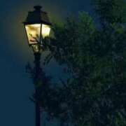 ヒメ日記 2025/02/02 23:10 投稿 神田 京香【人妻】 ROYAL STAR