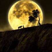 ヒメ日記 2025/02/03 23:57 投稿 神田 京香【人妻】 ROYAL STAR