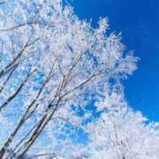 ヒメ日記 2025/02/05 09:31 投稿 神田 京香【人妻】 ROYAL STAR