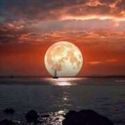 ヒメ日記 2025/03/05 22:12 投稿 神田 京香【人妻】 ROYAL STAR