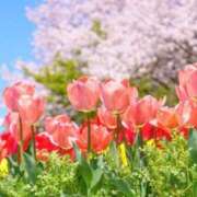 ヒメ日記 2025/03/09 13:54 投稿 神田 京香【人妻】 ROYAL STAR