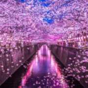 ヒメ日記 2025/04/04 17:21 投稿 神田 京香【人妻】 ROYAL STAR