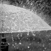 ヒメ日記 2025/04/13 06:03 投稿 神田 京香【人妻】 ROYAL STAR