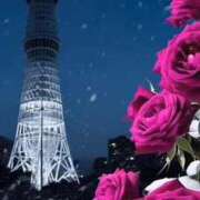 ヒメ日記 2025/04/17 23:25 投稿 神田 京香【人妻】 ROYAL STAR