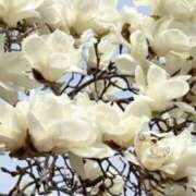 ヒメ日記 2025/04/18 14:31 投稿 神田 京香【人妻】 ROYAL STAR