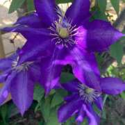 ヒメ日記 2025/04/26 14:05 投稿 神田 京香【人妻】 ROYAL STAR