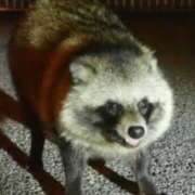 ヒメ日記 2025/04/26 23:40 投稿 神田 京香【人妻】 ROYAL STAR