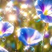 ヒメ日記 2025/04/27 11:52 投稿 神田 京香【人妻】 ROYAL STAR