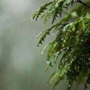 ヒメ日記 2025/04/28 05:50 投稿 神田 京香【人妻】 ROYAL STAR