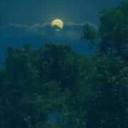 ヒメ日記 2025/04/30 23:43 投稿 神田 京香【人妻】 ROYAL STAR