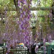 ヒメ日記 2025/05/02 18:09 投稿 神田 京香【人妻】 ROYAL STAR